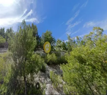 Οικιστικό 12866τ.μ. προς πώληση φωτογραφία 4458911