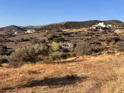 Golden Home Property Image