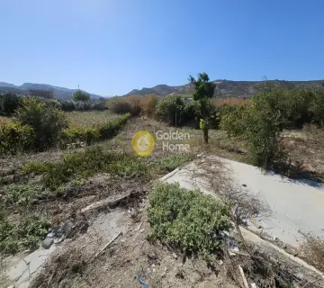 Οικιστικό 3800τ.μ. προς πώληση φωτογραφία 5
