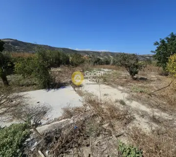Οικιστικό 3800τ.μ. προς πώληση φωτογραφία 7