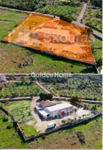 Building 520m<sup>2</sup> for sale photo 56