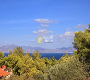 Οικιστικό 1115τ.μ. προς πώληση φωτογραφία 4689082