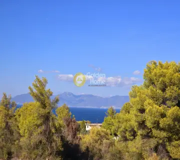 Οικιστικό 1115τ.μ. προς πώληση φωτογραφία 4689084