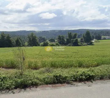 Parcel 12412m<sup>2</sup> for sale photo 3