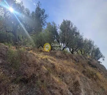 Επαγγελ. Οικόπεδο 4217τ.μ. προς πώληση φωτογραφία 4467000