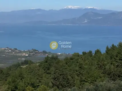 Μεζονέτα Ανεξάρτητη 290τ.μ. προς πώληση φωτογραφία 2