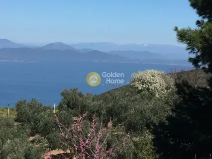 Μεζονέτα Ανεξάρτητη 290τ.μ. προς πώληση φωτογραφία 3