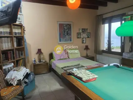 Μεζονέτα Ανεξάρτητη 290τ.μ. προς πώληση φωτογραφία 31