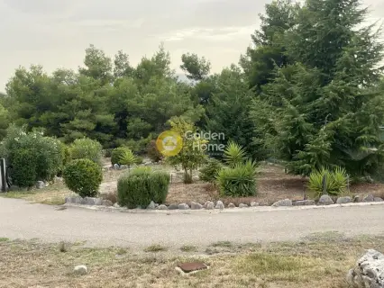 Μεζονέτα Ανεξάρτητη 290τ.μ. προς πώληση φωτογραφία 47