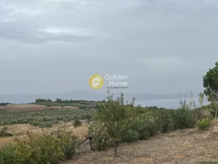 Μεζονέτα Ανεξάρτητη 290τ.μ. προς πώληση φωτογραφία 50