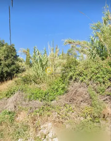 Επαγγελ. Οικόπεδο 3700τ.μ. προς ενοικίαση φωτογραφία 4479751