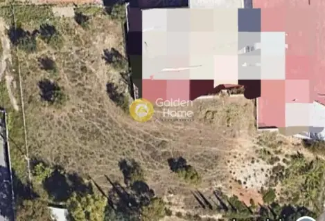 Επαγγελ. Οικόπεδο 3700τ.μ. προς ενοικίαση φωτογραφία 4479751