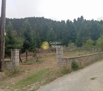 Residential 981m<sup>2</sup> for sale photo 4474551
