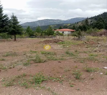 Residential 981m<sup>2</sup> for sale photo 4474553