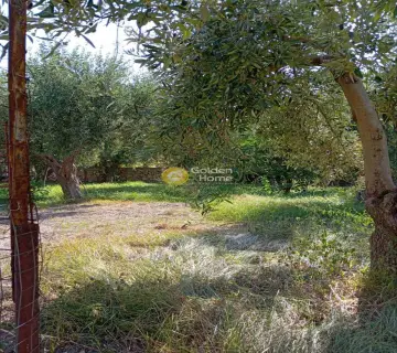 Residential 960m<sup>2</sup> for sale photo 4