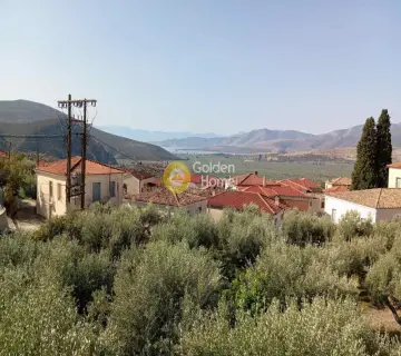 Golden Home Property Image