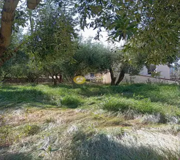 Residential 960m<sup>2</sup> for sale photo 3