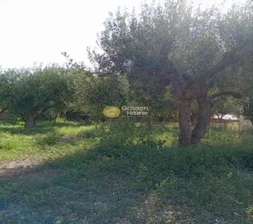 Residential 960m<sup>2</sup> for sale photo 6