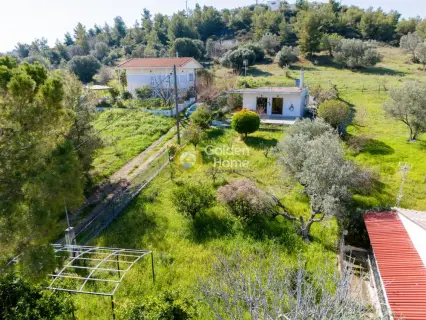 Μονοκατοικία 68τ.μ. προς πώληση φωτογραφία 14