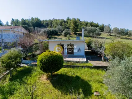 Μονοκατοικία 68τ.μ. προς πώληση φωτογραφία 15