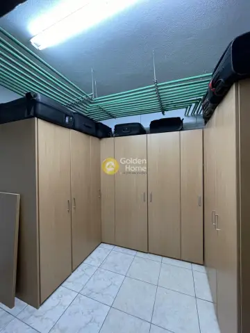 Μονοκατοικία 600τ.μ. προς πώληση φωτογραφία 43