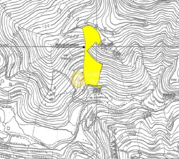 Parcel 13146m<sup>2</sup> for sale photo 6