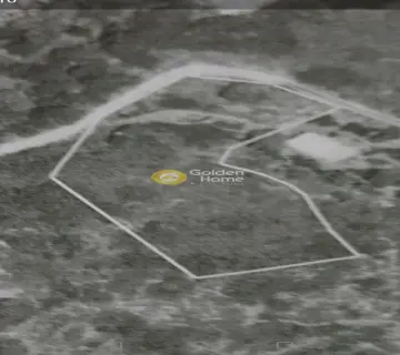 Οικιστικό 9259τ.μ. προς πώληση φωτογραφία 4