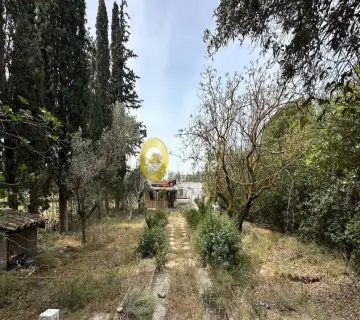 Residential 561m<sup>2</sup> for sale photo 2