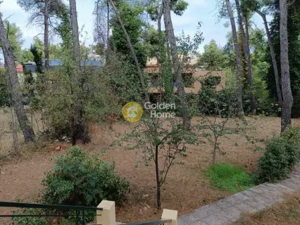 House 223m<sup>2</sup> for sale photo 22
