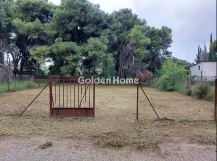 Αγροτεμάχιο 280τ.μ. προς πώληση φωτογραφία 5139992