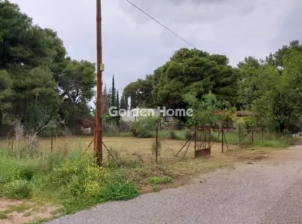 Αγροτεμάχιο 280τ.μ. προς πώληση φωτογραφία 5139993