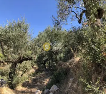 Συγκρ. Κατοικιών 550τ.μ. προς πώληση φωτογραφία 4507852