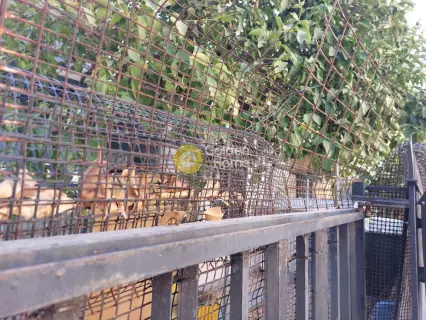 Οικιστικό 228τ.μ. προς πώληση φωτογραφία 1