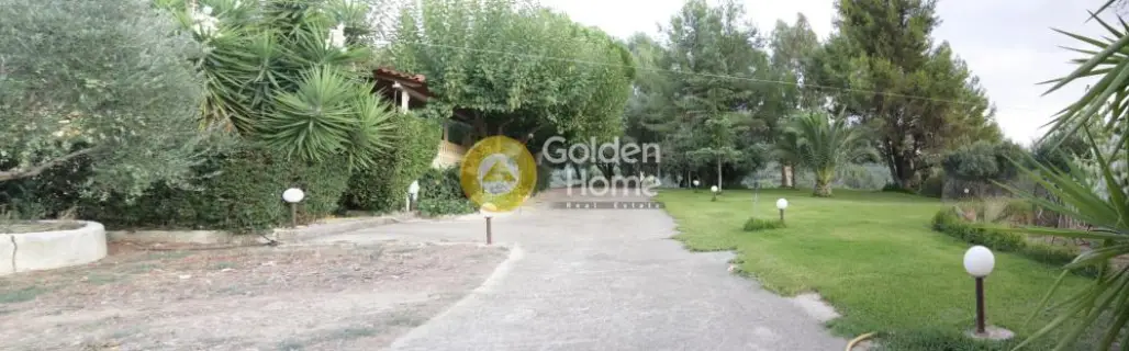 Golden Home Property Image