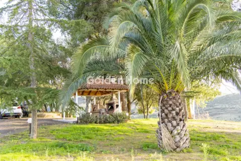 Golden Home Property Image