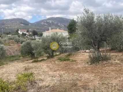 Residential 3829m<sup>2</sup> for sale photo 2