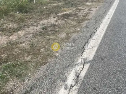 Οικιστικό 3829τ.μ. προς πώληση φωτογραφία 9