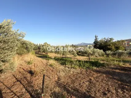 住宅 3829m<sup>2</sup> for sale photo 14