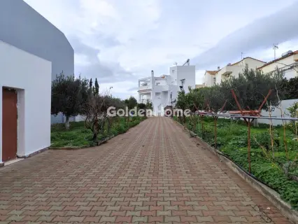 Golden Home Property Image