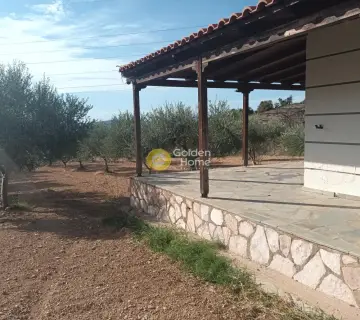 House 133m<sup>2</sup> for sale photo 4490700