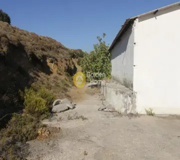 Industrial 2500m<sup>2</sup> for rent photo 4494750