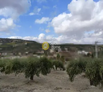 住宅 626m<sup>2</sup> for sale photo 4515176