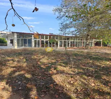 店铺 250m<sup>2</sup> for rent photo 37