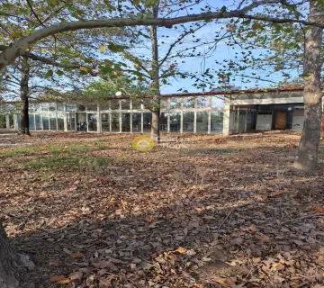 店铺 250m<sup>2</sup> for rent photo 2