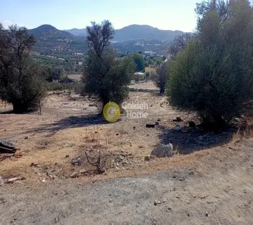 Residential 327m<sup>2</sup> for sale photo 4494113