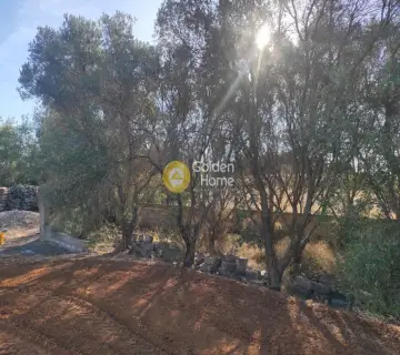 Parcel 1065m<sup>2</sup> for sale photo 13