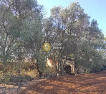 Parcel 1065m<sup>2</sup> for sale photo 12