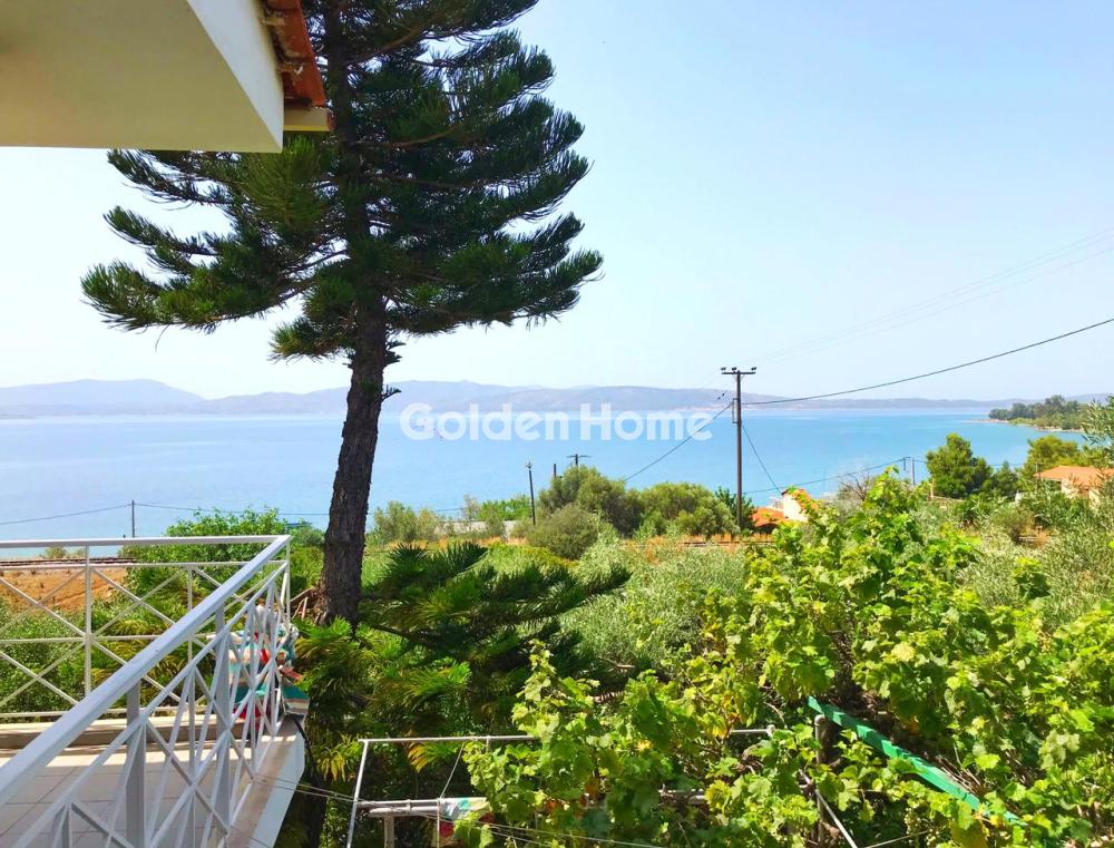 Μονοκατοικία στην Νεράκι, Νέα Πέραμος (Μεγάλο Πεύκο) — Φωτογραφία 5 από 19