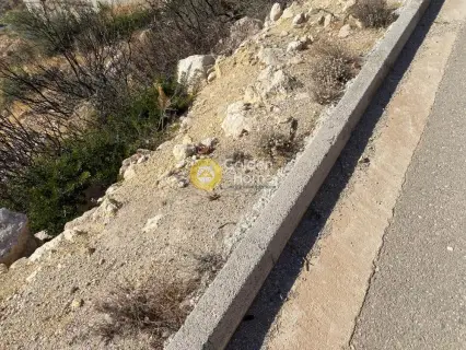 Οικιστικό 1232τ.μ. προς πώληση φωτογραφία 4501681
