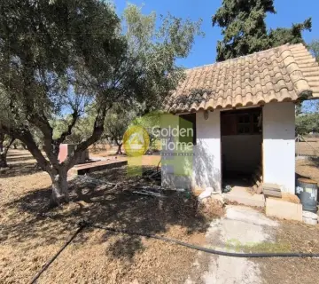 Μονοκατοικία 180τ.μ. προς πώληση φωτογραφία 7